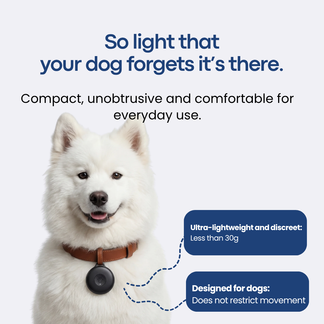 DOG GPS TRACKER — Without Subscription — Mansuri