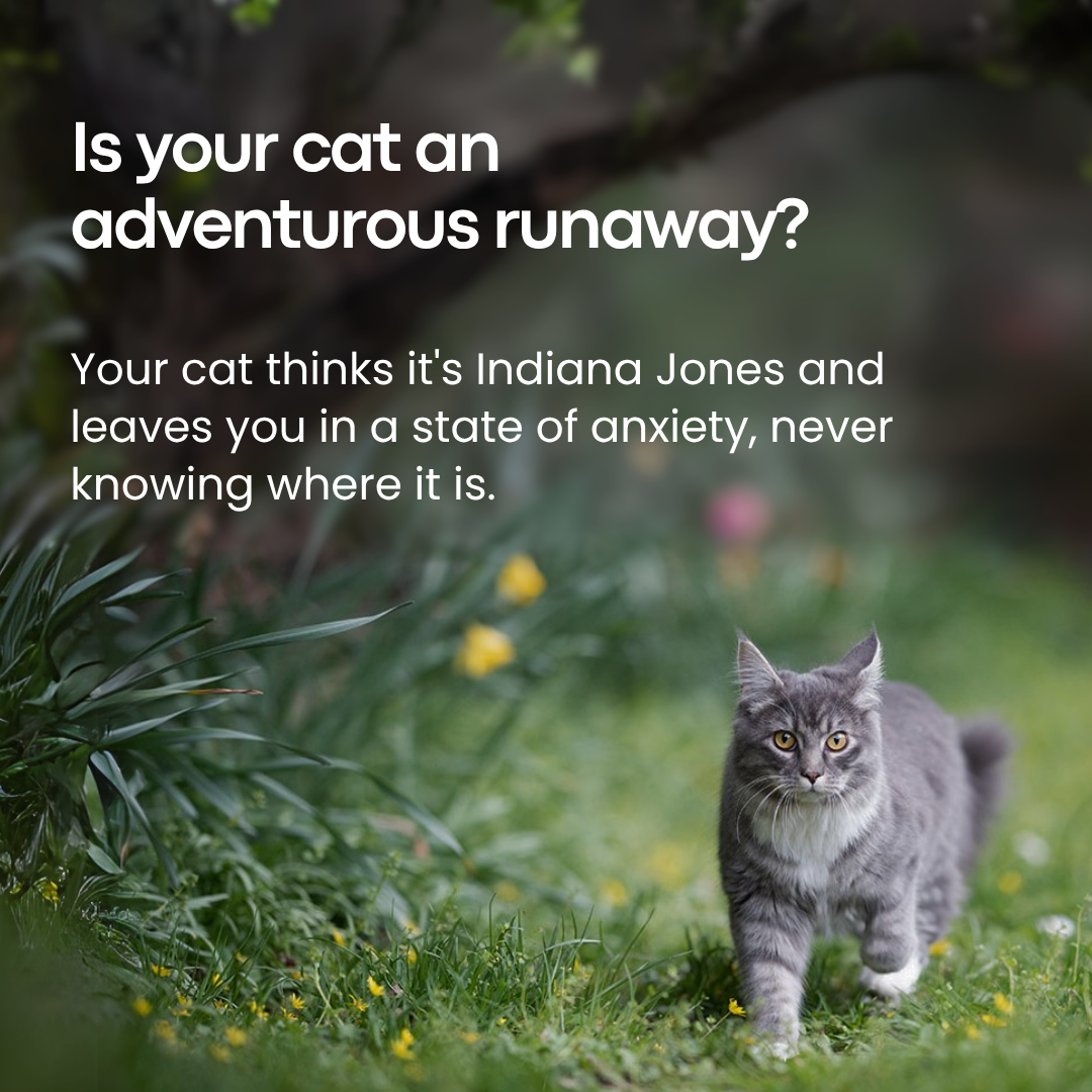 CAT GPS TRACKER — Without Subscription — Mansuri